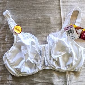Playtex Bra (without underwire)
